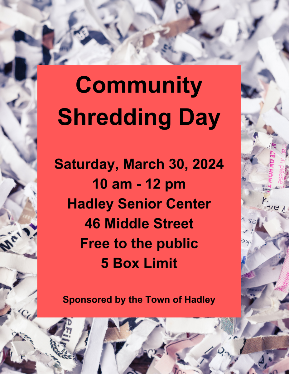 Community Shredding Day - Image of Shredded Paper