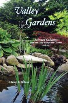 Valley Gardens by Cheryl Wilson (Levellers Press, 2023)