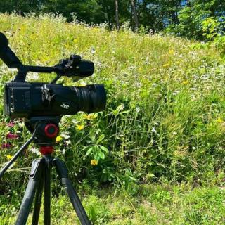 camera4
