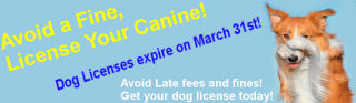 License your canine